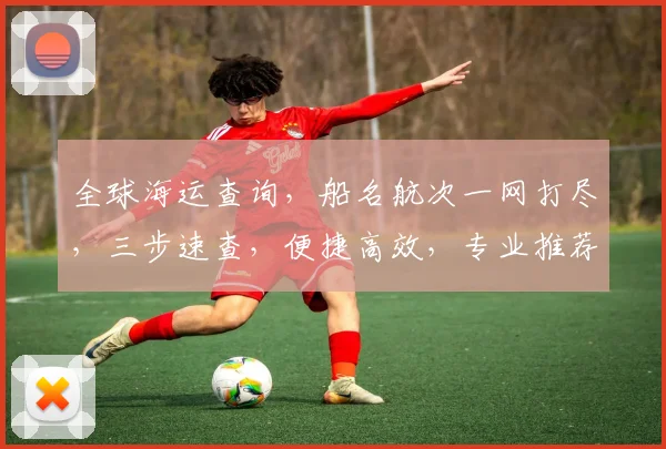 全球海运查询，船名航次一网打尽，三步速查，便捷高效，专业推荐