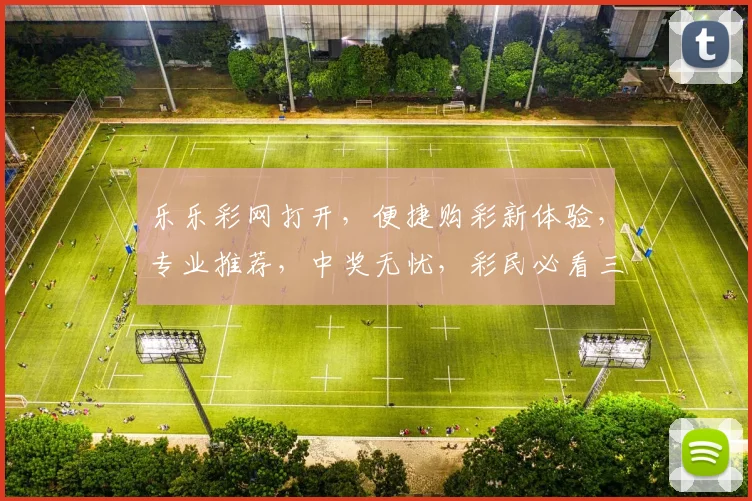 乐乐彩网打开，便捷购彩新体验，专业推荐，中奖无忧，彩民必看三步攻略