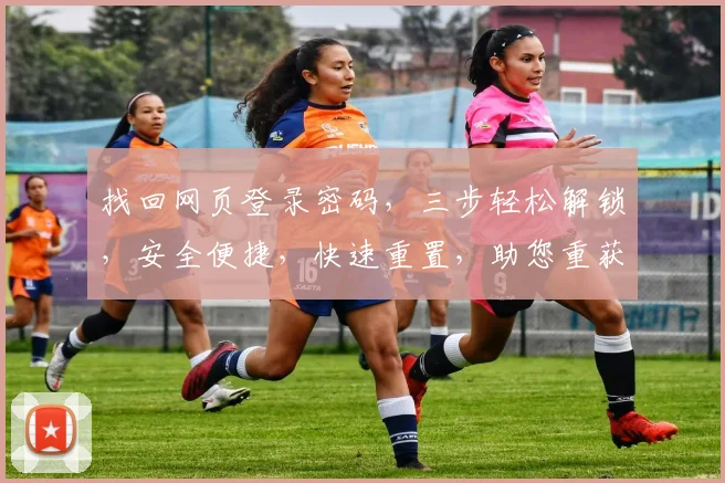 找回网页登录密码，三步轻松解锁，安全便捷，快速重置，助您重获账号自由，轻松登录