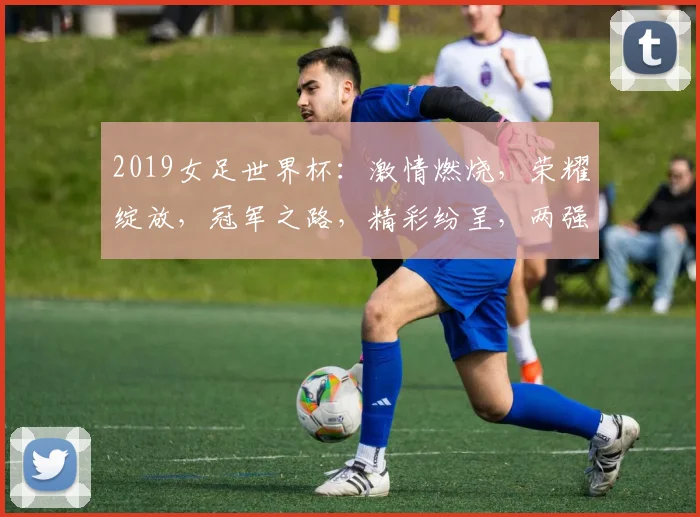 2019女足世界杯：激情燃烧，荣耀绽放，冠军之路，精彩纷呈，两强争霸